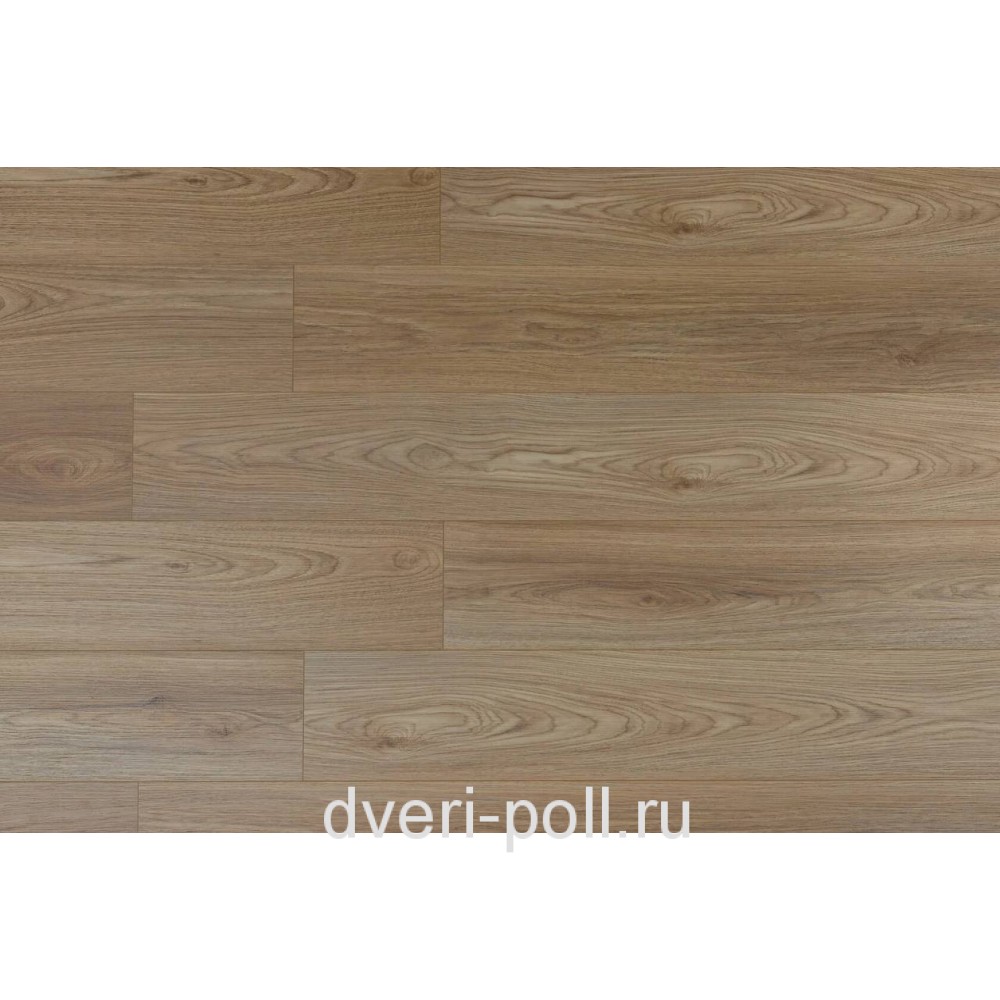 SPC ламинат Steinholz Фельд STH080