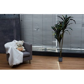 SPC ламинат Steinholz Трацберг STH013